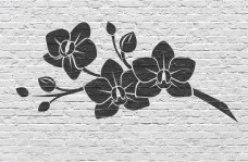 sjbln02 sjabloon_bloemen-2-02